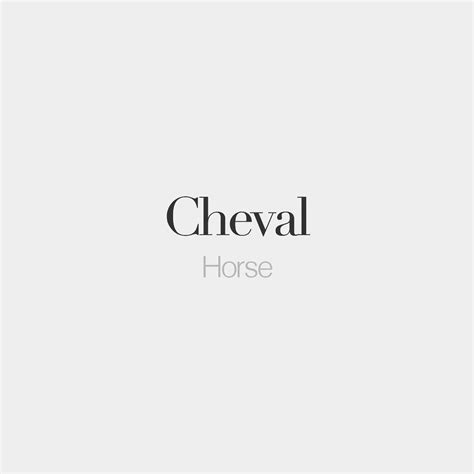 cheval synonyme|cheval meaning in french.